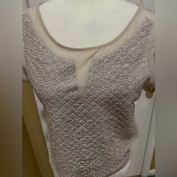 Express Size XS Metallic Shimmer Boxy Blouse - Picture 2 of 6